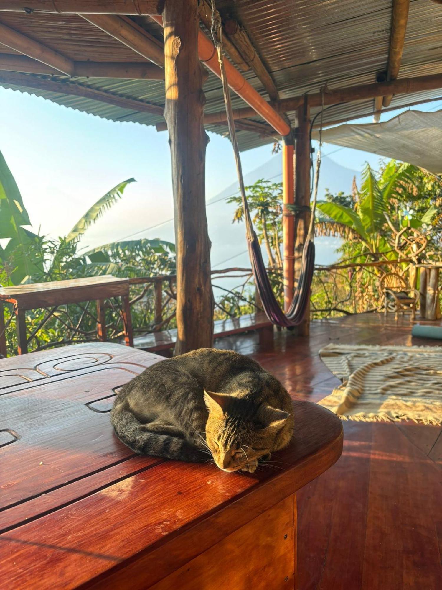 산 마르코스 라 라구나 Earthship Atitlan 게스트하우스 외부 사진
